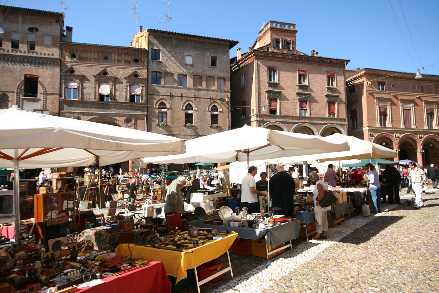 Bologna